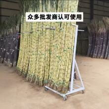 ����ˮ�����u�[�ſ������������֧��䓼���м�չʾ�ܸ���̶���