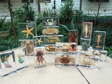 ¡���׃��@�̌W�挍�������˱��з���\��֬�������~�ľ�зС��