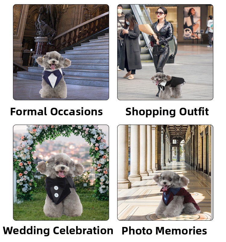 Dog Bite Protection Vest For Small And Medium Dogs With Spikes_voghion.com