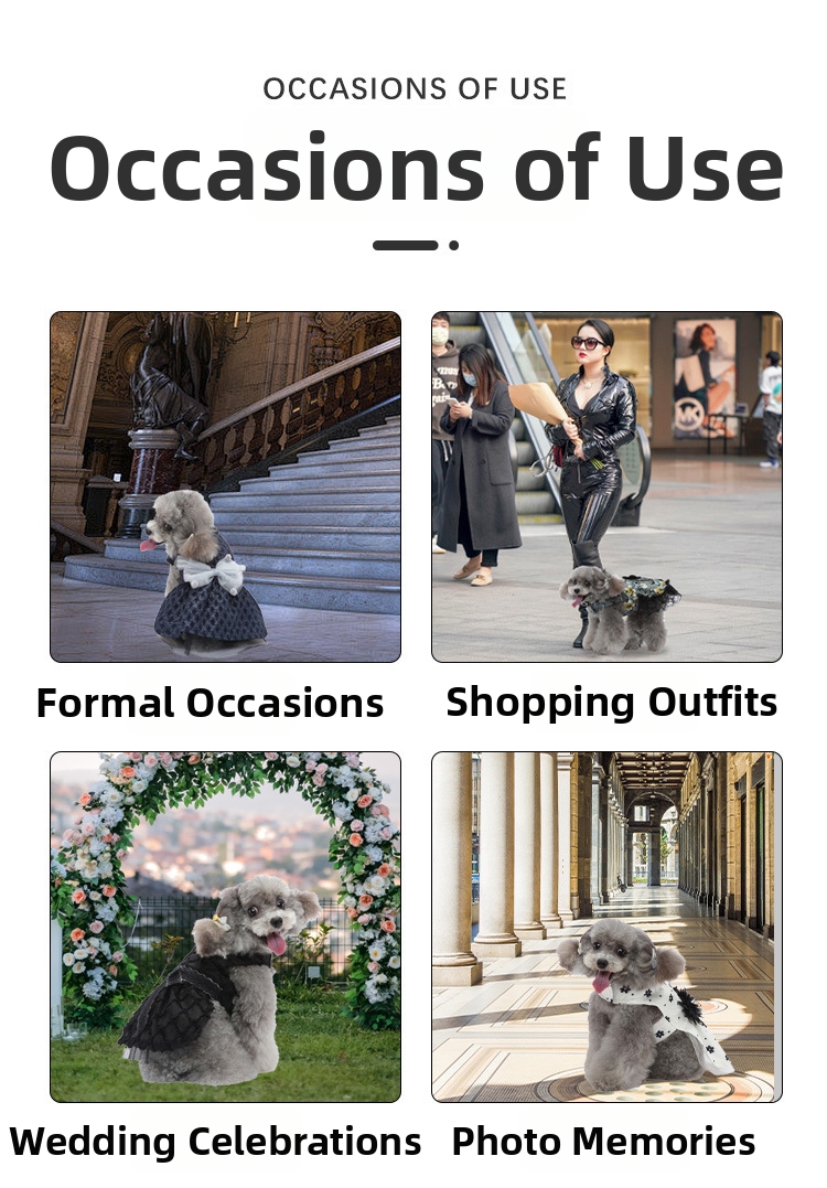 Hundklänning med rosett och dubbla lager tyll blommig prinsessa_voghion.com