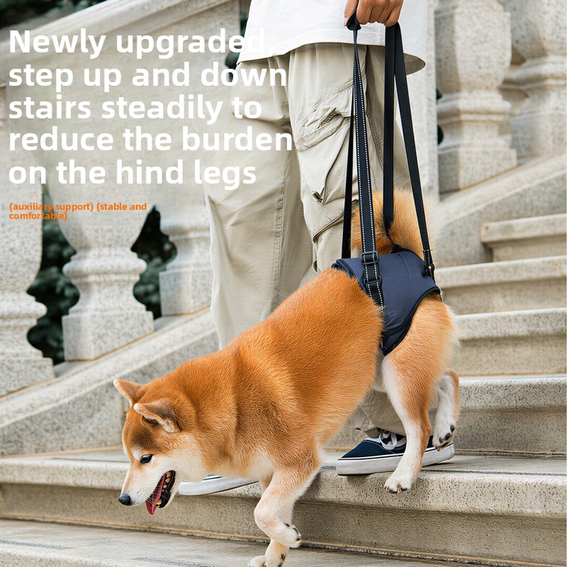 Cinto de suporte para patas traseiras de cães idosos_voghion.com