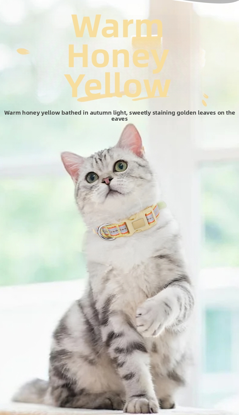 Collier pour chat anti-fugue réglable et réfléchissant_voghion.com