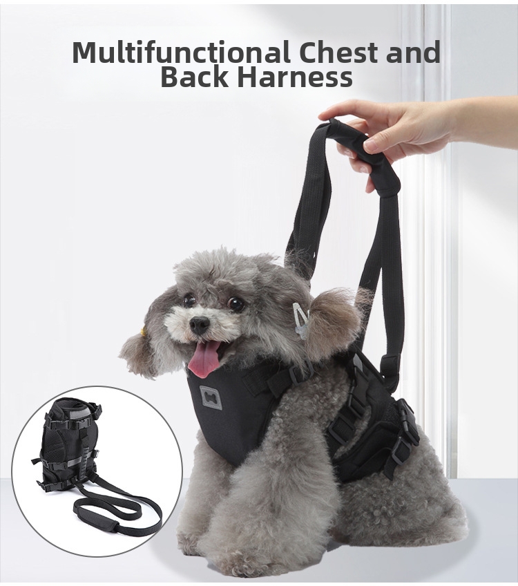 Pet Harness And Dog Leash For Car Safety And Walking Support_voghion.com