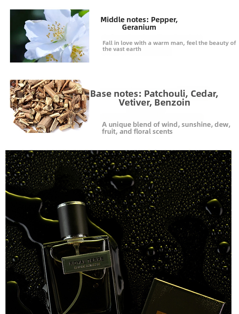 Blue dew eau de toilette för män klassisk träig doft_voghion.com