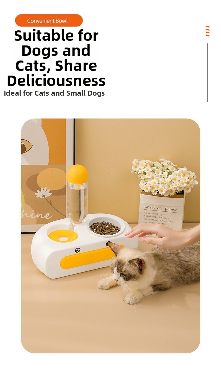 Doppelnapf Für Katzen Mit Automatischem Wasserspender_voghion.com
