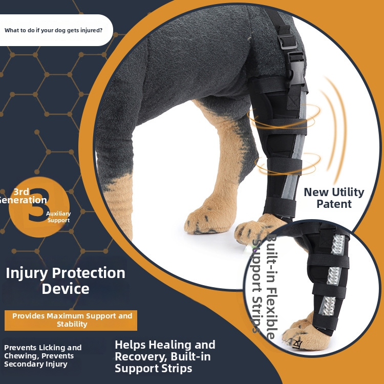 Dog Supplies Post Operative Leg Protection Walking Aids Fixation And Support Knee Braces For Dogs_voghion.com