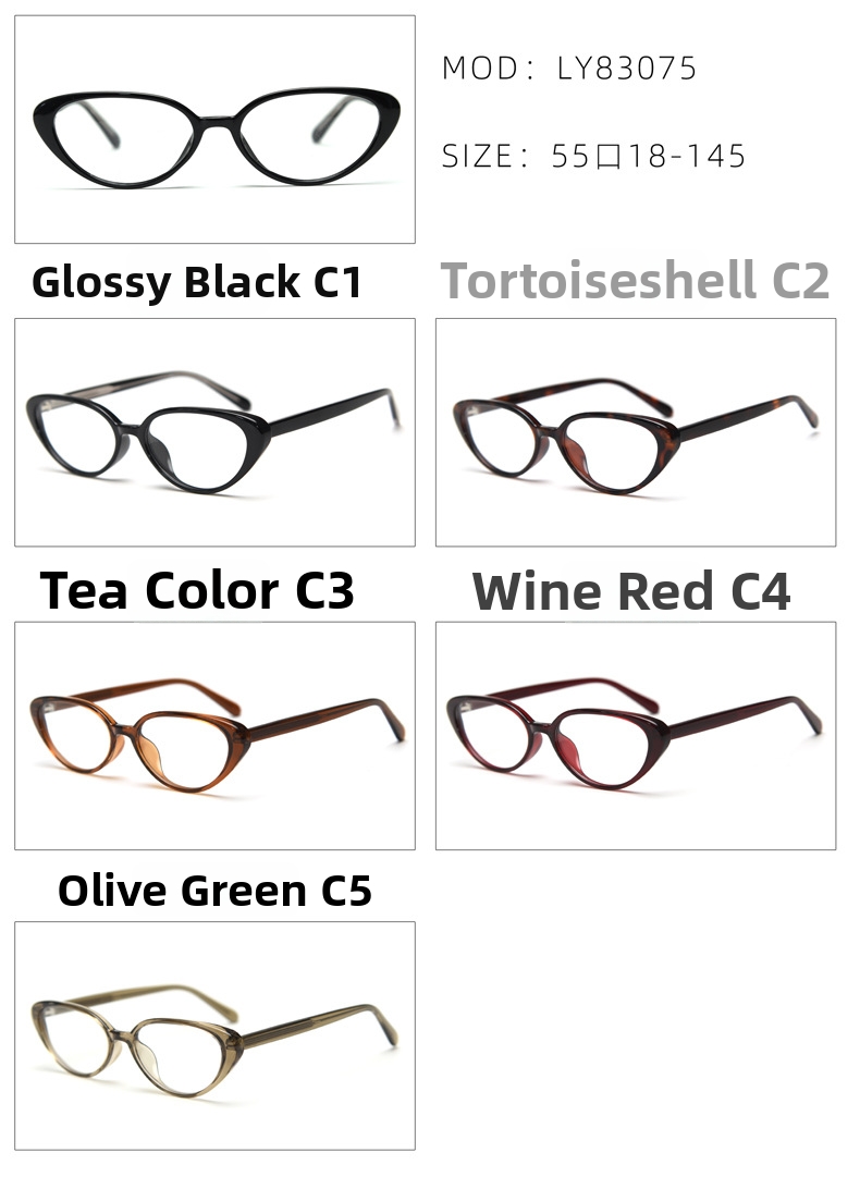 Retro Cat Eye Glasses Frames For Women Acetate Artistic Style_voghion.com