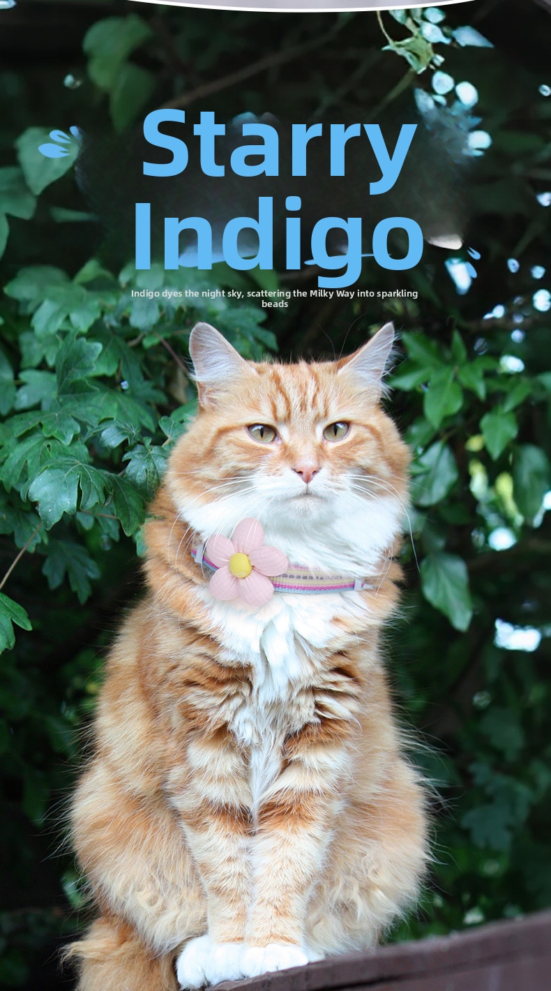 Collier pour chat anti-fugue réglable et réfléchissant_voghion.com