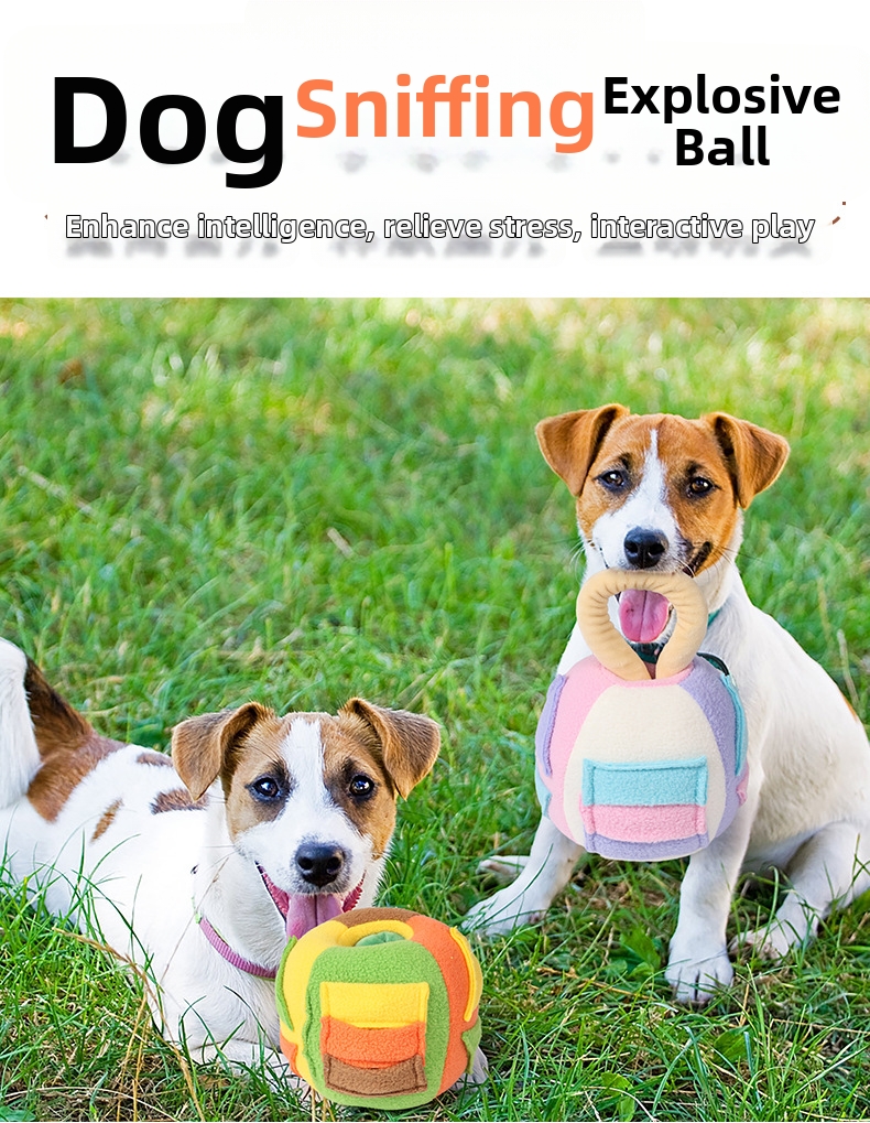 Interaktives Hundespielzeug Mit Quietscher Und Leckerli-versteck_voghion.com
