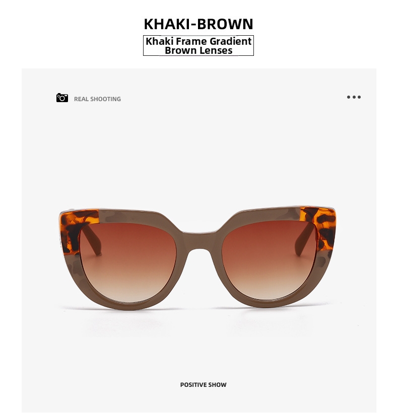 Trendy Cat Eye Sunglasses For Women Oversized Retro Sun Glasses_voghion.com