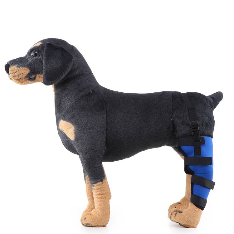 Dog Knee Brace For Post-operative Support And Leg Recovery Aid_voghion.com