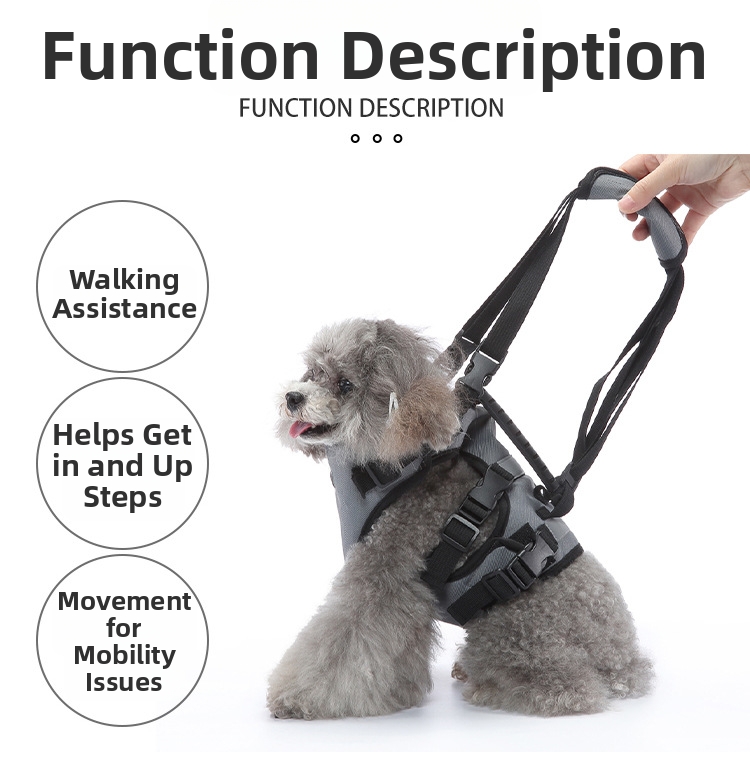 Pet Harness And Dog Leash For Car Safety And Walking Support_voghion.com