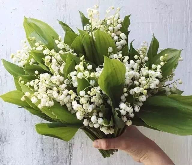 Artificial lily flower living room home decoration model room flower arrangement floral desktop fake flower ornaments