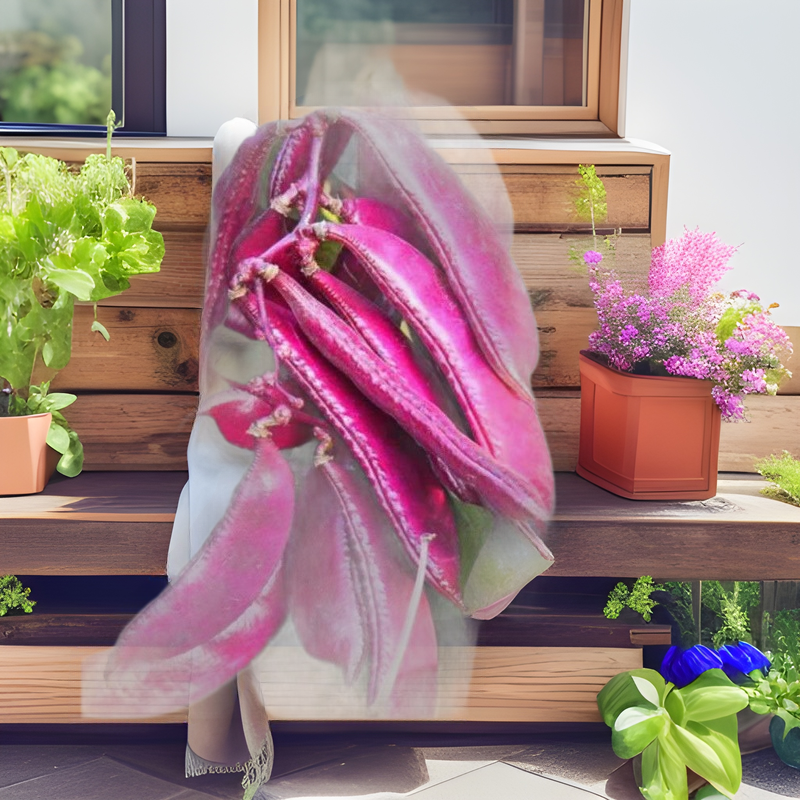 Full Purple-Red Edge Green Eyebrow Bean Seeds Lentils Snow Peas Potted Courtyard Climbing Vines Sowing Vegetable Seeds in All Year Round Spring and Summer