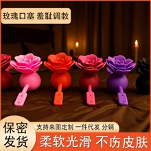 �轺�������������Ȥ��ƷSMõ�廨��������˵������ʳƷ���轺