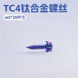 TC4摩托车改装Grade5 电动车用碟头t25内梅花自攻螺丝m5*20自攻丝