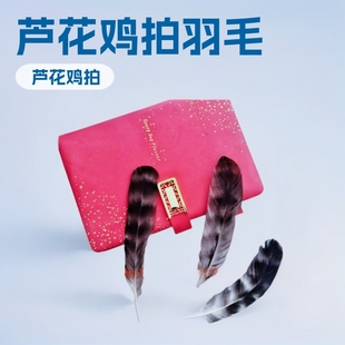 �J���u����ë13-20���ֻ��y��ë��ˇƷñ���b����Ұ�uë