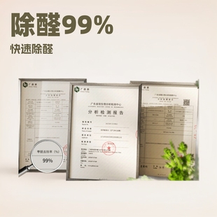 Formaldehyde Removal Jelly Small Green Jar Formaldehyde Removal Upgraded Second Generation New House Decoration Formaldehyde Removal and Odor Absorption Powerful Small Green Jar