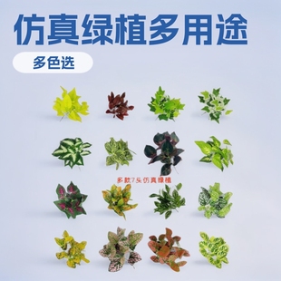 ����Gֲ7��С�S�~�G�}���cĿ �~��ֲ�����쾰����滨���l