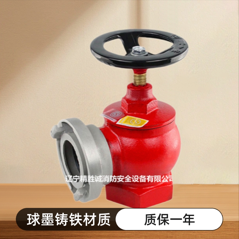 消防器材室内消火栓SN65消防栓旋转减压稳压栓头水阀门成套箱子