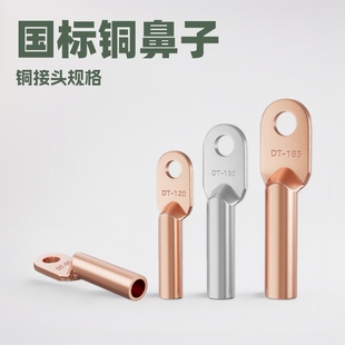 National Standard Copper Nose Copper Connector Dt10/16/25/35/50/70-500 Square Terminal Block Oil Blocking Wire Ear