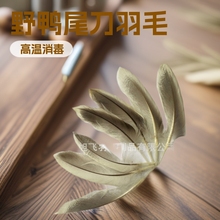 亚马逊同款野鸭尾刀羽毛  飞蝇翅膀尾巴材料 渔具配件 DIY材料包