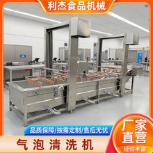 全自动果蔬气泡清洗机连续式四季豆清洗设备韭菜小青葱净菜加工设
