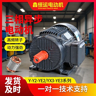 48Vȫ�~���ஐ��늄әCYE2-80M2-4 4�O��ʽ��ʽ늙C ���Sֱ��