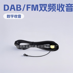 SMA European household DAB/DAB + digital radio antenna FM radio antenna MD amplifier radio antenna