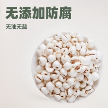 ޲���ױ��׻�����޲�׻���؛�ɹ��o���ӟo�͟o���}��ʳ���y���׻�