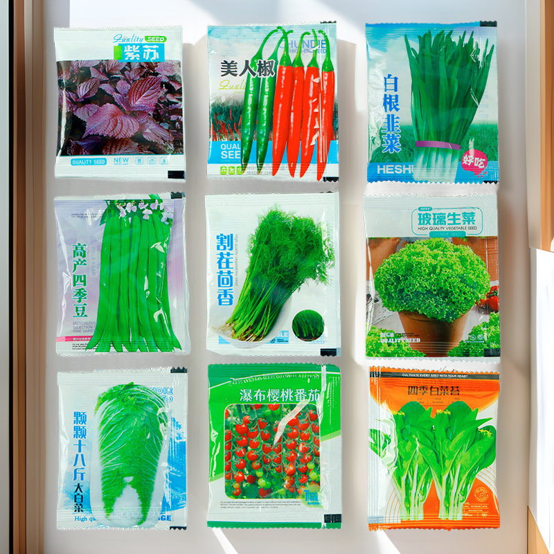 Heat-Resistant Four-Season Small-Leaf Coriander Seeds, Farm Coriander Seed Seedlings, Balcony Potted Large-Leaf Vegetable Seeds
