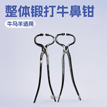 �S��ֱ�N���w呴�F�ñ�����ţ���Q�F����еţ�ò��P�ţ�Ǡ�����