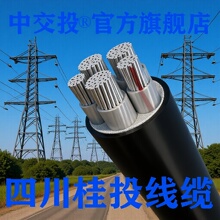 ɶ늾|SaXо|Sȼ͉X|ZCYJLVɶ|S