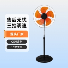 16 Ӣ��u�^����ȈA�P������������L�ȟoˢ늙C