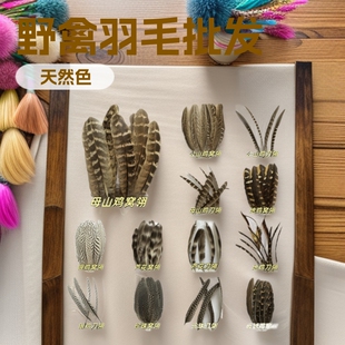 ���l���Ұ�ݳ�� �C�� ����diy�b����g����  Ӱҕ���b����