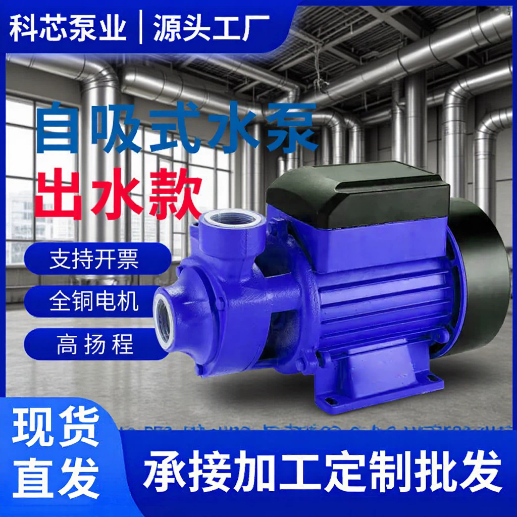 Самовсасывающий насос-бустер для солнечных систем, водонапорная башня, водонапорный бак, подача воды, водопровод, повышение давления, циркуляция воды, бесшумный