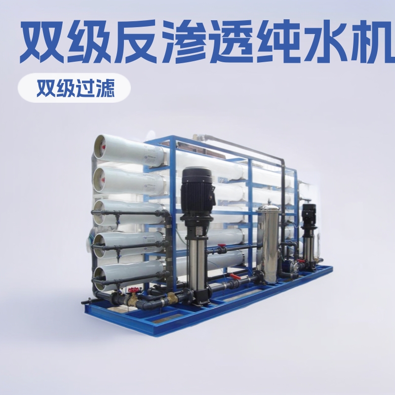 厂家直销惠州二级反渗透纯水处理设备10吨/小时双级反渗透纯水机