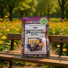 F؛ѿ羳ƷVegetable Seed Vault Kit߲˷N35ƷNb