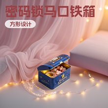 马口铁带密码锁拱盖存钱箱  潮玩 文创用品收纳箱文创存钱罐