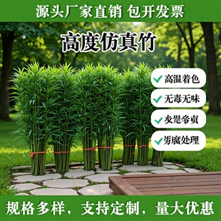 �z�~��������쾰�����҃ș����Ї��L�����ړ��b߷��������~