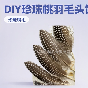 �S�����l��������ë�^��ػ� �����^���ëDIY�ֹ�