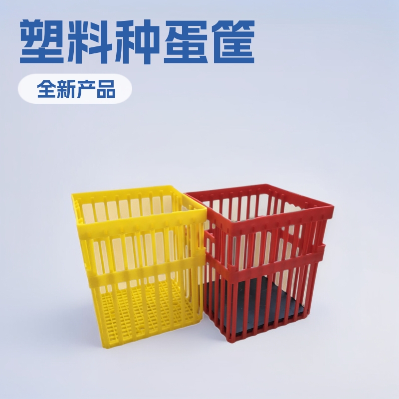 大量批发塑料种蛋筐 种蛋周转筐 塑料蛋筐 种蛋运输筐优惠