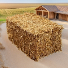 �S�����l�ɲݽն��ɲ����l�����ɲ��Bֳ�øɲݲ݉K��Ȼ