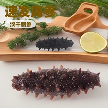 厂家直销速发海参淡干辽参刺参10只单个装一泡即食海参礼盒装批发