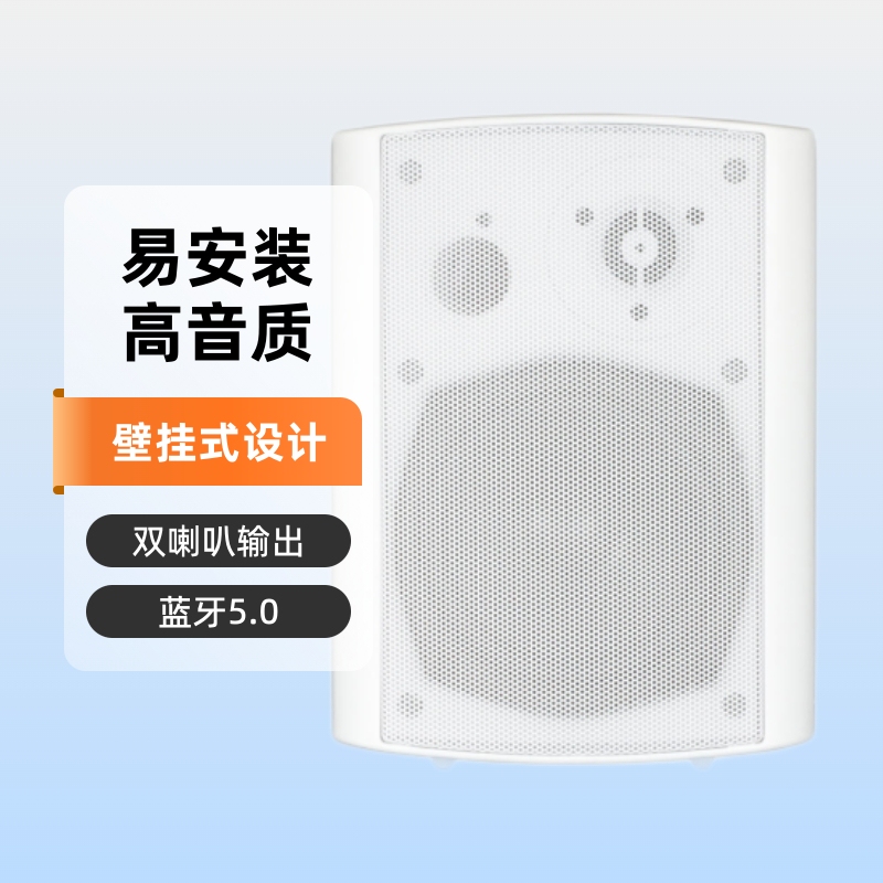 Bluetooth Active Wall-Mounted Audio Store Conference Classroom Speaker Wall-Mounted Bluetooth Audio Store Dedicated Wall-Mounted