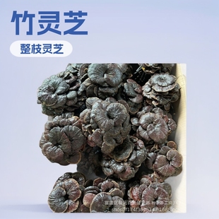 ���l��������`֥Ұ�����`֥��֥�`֥Ƭ��֦�`֥��ɢ�b500�˰��]