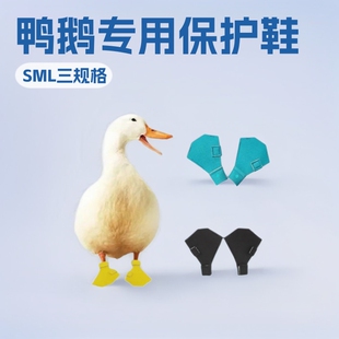 ������Ʒ�����ZЬ������� ����_����ѥ���oЬ���K�������o�_��