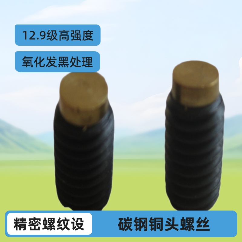 御虎实业有限公司厂家生产 碳钢铜头机米螺丝 止付螺丝 紧定螺丝