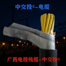 �н�Ͷ&reg;�ό�ZRAKVVP2-223458x1.5*2.5*4*6�z�b��������|��ȼ