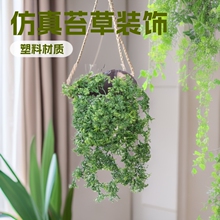 ����̦����ļ�ֲ��Ĳ��b�̦�\���ϻ��b�ֲ���ıڒ�